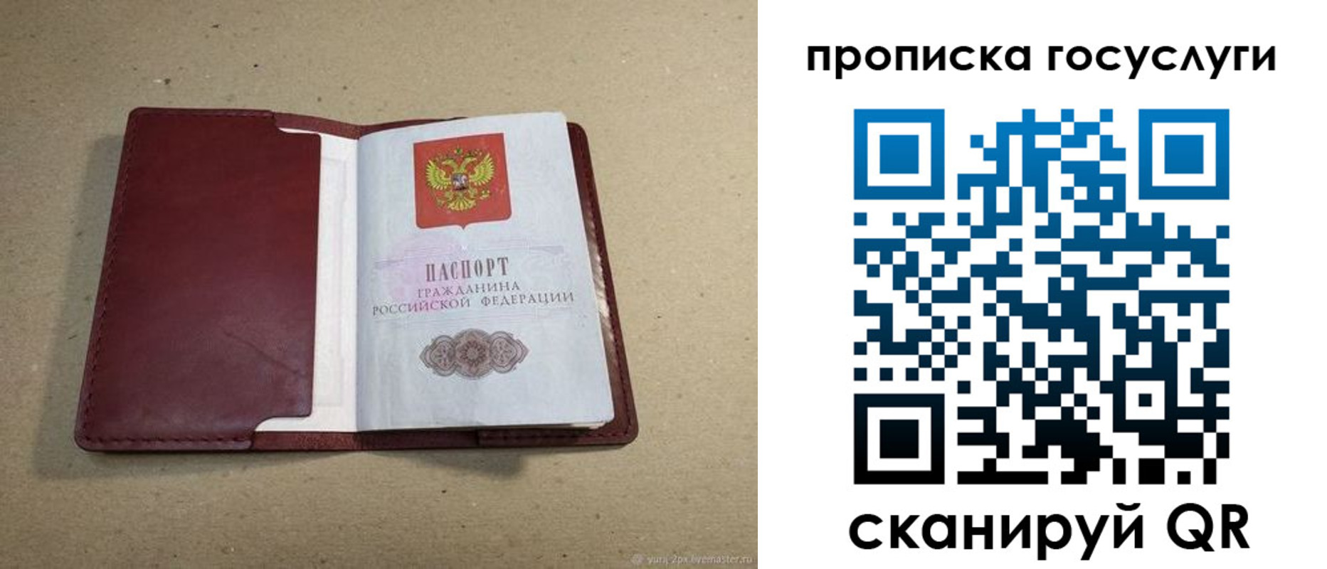 прописка поиск в Касли